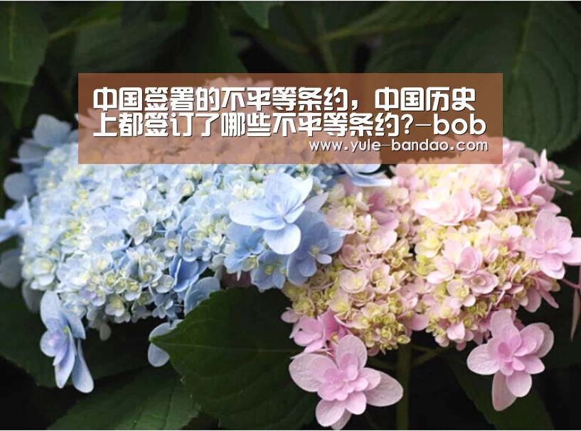 中国签署的不平等条约,中国历史上都签订了哪些不平等条约?-bob体育直播(图4) bob体育直播